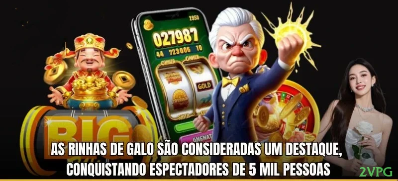 Imagem promocional do login da 2vpg